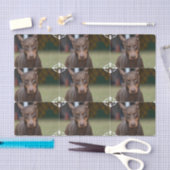 Schattige Doberman Pinscher Tissuepapier (Craft)