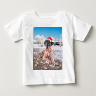 Schattige Dog Argentijnse Hond Zit In Sneeuw Kerst