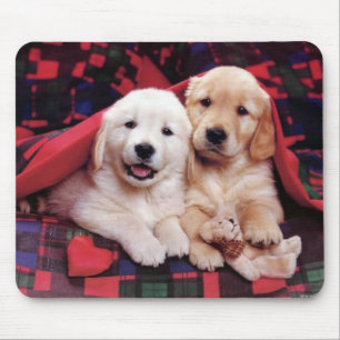 Schattige Dog-fotografische kaarten, cadeaus - Aan Muismat