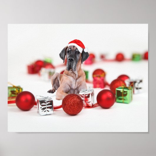 Schattige Dog Great Dane Kerstmis Kerstman Hoed Poster (Voorkant)