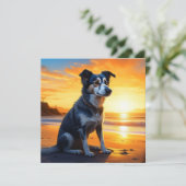 Schattige Dog on Beach bij zonsondergang (Staand voorkant)