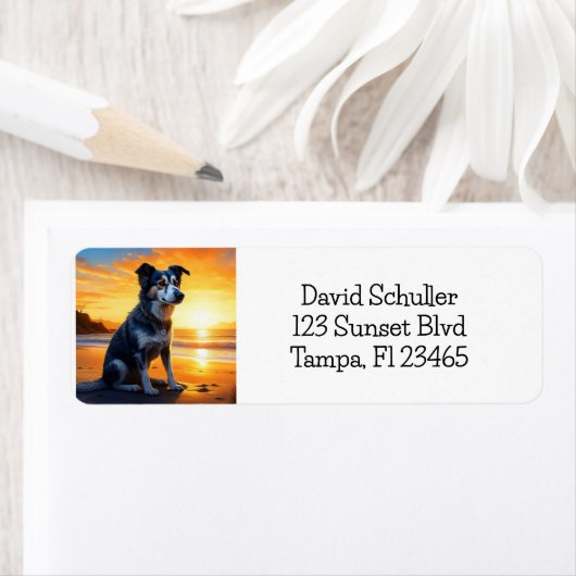 Schattige Dog on Beach bij zonsondergang Etiket (Insitu)