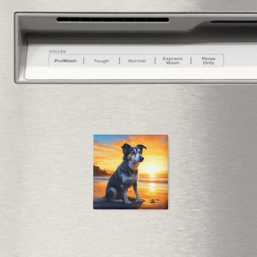 Schattige Dog on Beach bij zonsondergang Magneet (Insitu (Vaatwasser))