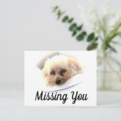 Schattige Dog Ontbrekend U Briefkaart (Staand voorkant)