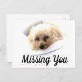 Schattige Dog Ontbrekend U Briefkaart (Voorkant / Achterkant)