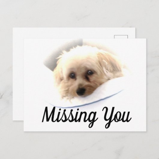 Schattige Dog Ontbrekend U Briefkaart (Voorkant / Achterkant)