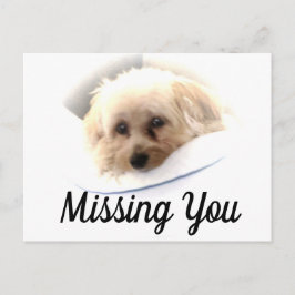 Schattige Dog Ontbrekend U Briefkaart