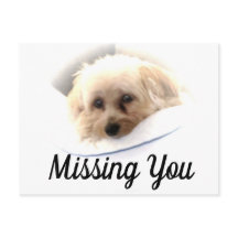 Schattige Dog Ontbrekend U Briefkaart