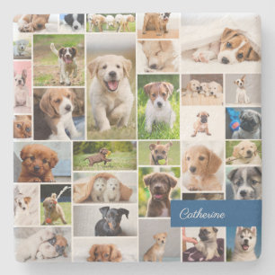 Schattige dog voor Cute Puppy Photo Montage Stenen Onderzetter