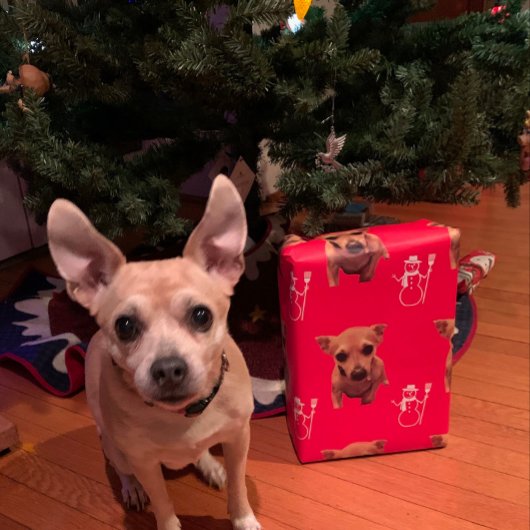 Schattige Dog Xmas Santa Sneeuwman Candy Canes Inpakpapier Vel