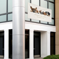 Schattige Dogs Grooming Service Visitekaartje