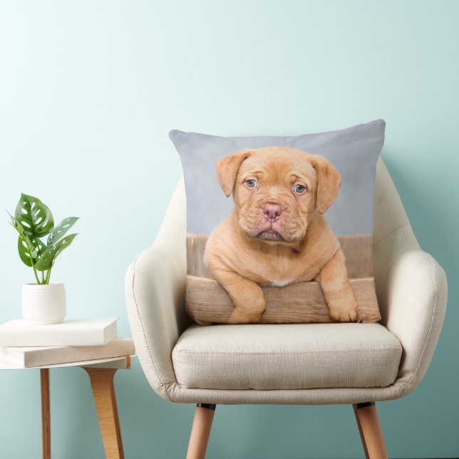 Schattige Dogue de Bordeaux puppy, Sierkussen (Stoel)