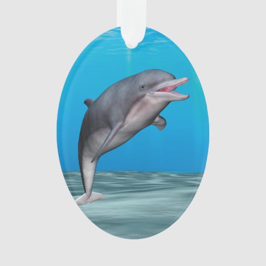 Schattige dolfijn ornament (voorkant)