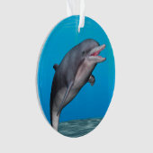 Schattige dolfijn ornament (voorkant)