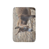 Schattige Donkey Badmat (Voorkant Verticaal)