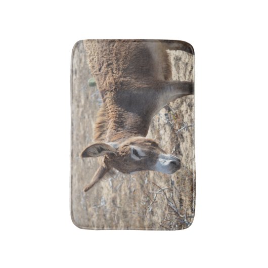 Schattige Donkey Badmat (Voorkant Verticaal)