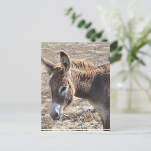 Schattige Donkey Briefkaart (Staand voorkant)