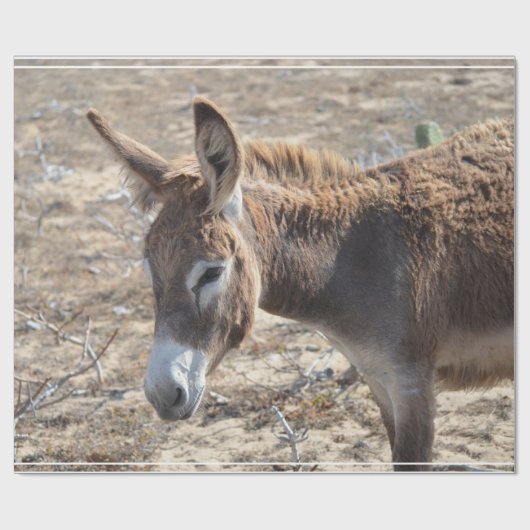 Schattige Donkey Cadeaupapier (Vlak)