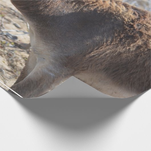 Schattige Donkey Cadeaupapier (Hoek)