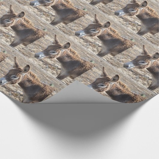 Schattige Donkey Cadeaupapier (Hoek)