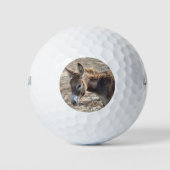 Schattige Donkey Golfballen (Voorkant)