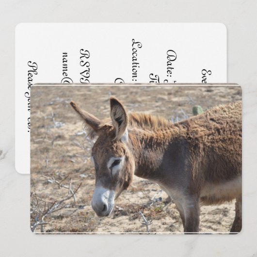 Schattige Donkey Kaart (Voorkant / Achterkant)