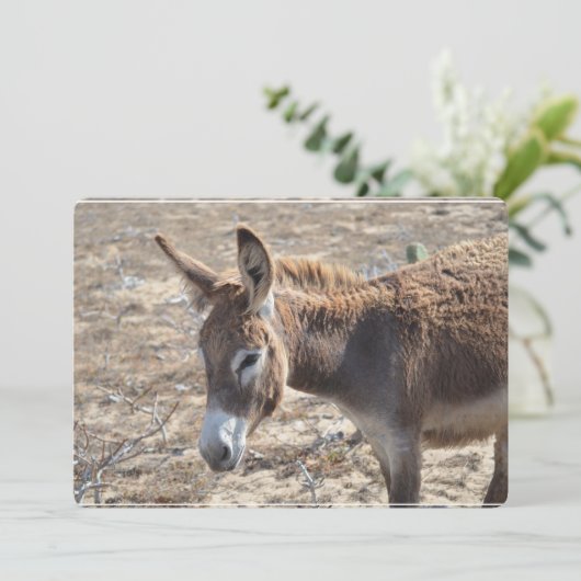 Schattige Donkey Kaart (Staand voorkant)