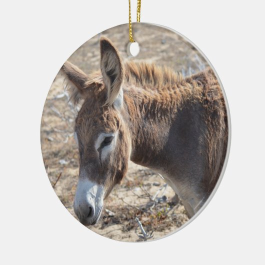 Schattige Donkey Keramisch Ornament (Links)
