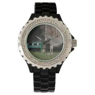 Schattige Donkey naast Wooden Green Bench Horloge