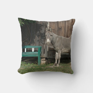 Schattige Donkey naast Wooden Green Bench Kussen