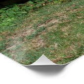 Schattige Donkey naast Wooden Green Bench Poster (Hoek)