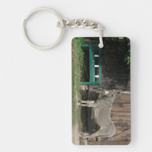 Schattige Donkey naast Wooden Green Bench Sleutelhanger