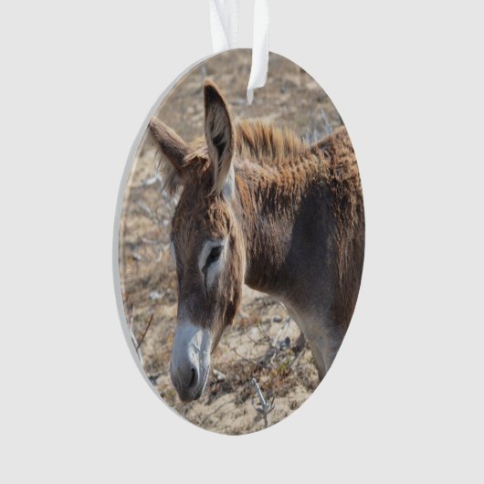 Schattige Donkey Ornament (voorkant)