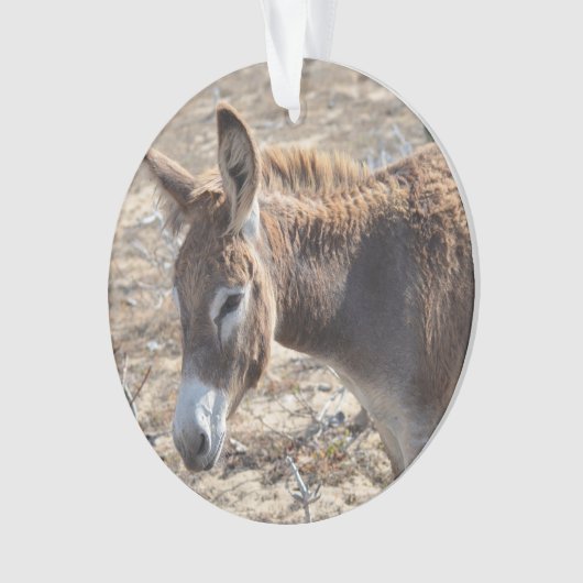 Schattige Donkey Ornament (voorkant)