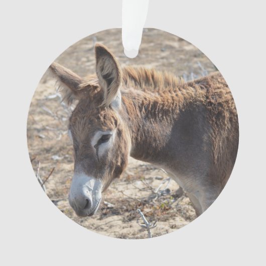 Schattige Donkey Ornament (voorkant)