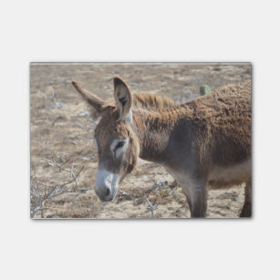 Schattige Donkey Post-it® Notes
