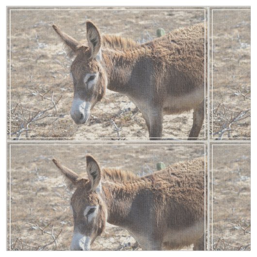 Schattige Donkey Stof (Close Up)