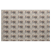 Schattige Donkey Stof (Fat Quarter)