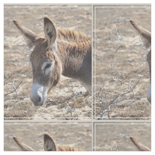 Schattige Donkey Stof (Close Up)