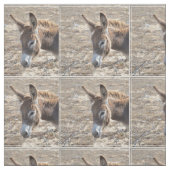 Schattige Donkey Stof (Swatch)
