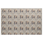 Schattige Donkey Stof (Fat Quarter)