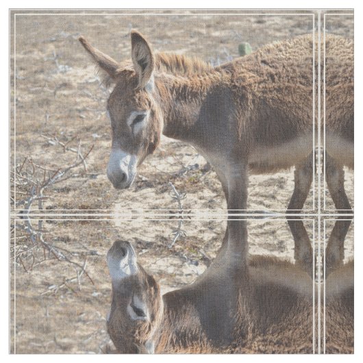 Schattige Donkey Stof (Close Up)