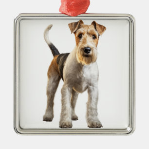 SCHATTIGE DRAADHARIGE FOX TERRIER DOG METALEN ORNAMENT