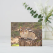 Schattige drachtige chipmunk briefkaart (Staand voorkant)