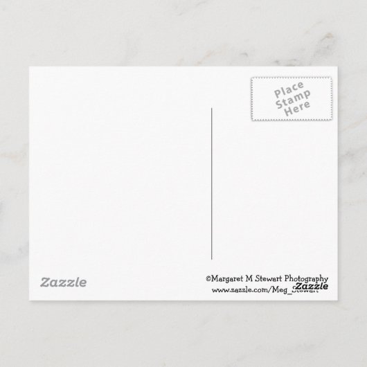 Schattige drachtige chipmunk briefkaart (Achterkant)