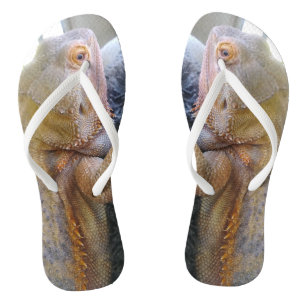 Schattige drakenfoto's teenslippers