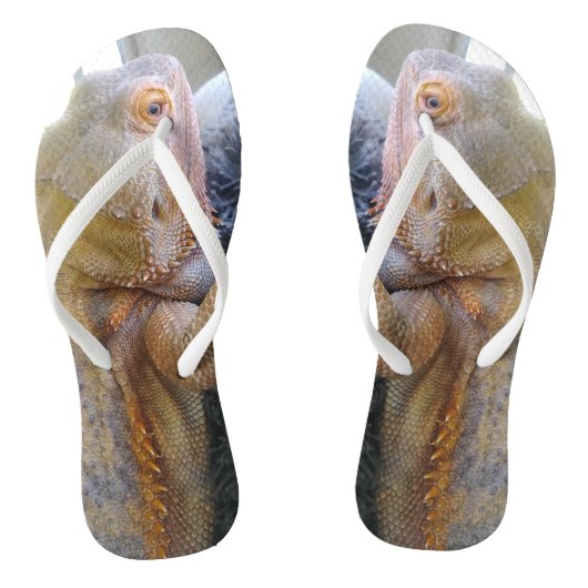 Schattige drakenfoto's teenslippers (Voetbed)