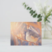 Schattige driekleppige vogelmuis briefkaart (Staand voorkant)