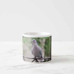 Schattige Duif Witte Duif Liefde & Vrede Symbool V Espresso Kop