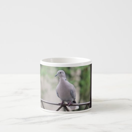 Schattige Duif Witte Duif Liefde & Vrede Symbool V Espresso Kop (Voorkant)